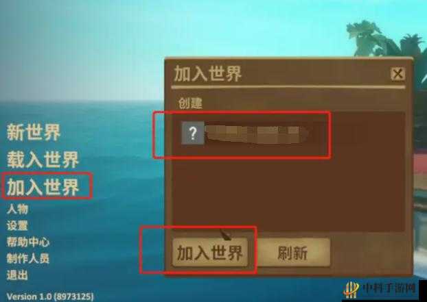 raft 联机方法是什么