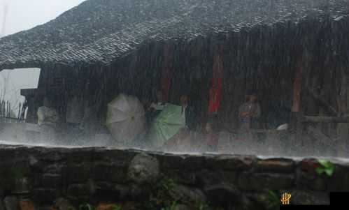 JUL532 外勤突然下大雨：众人忙躲雨