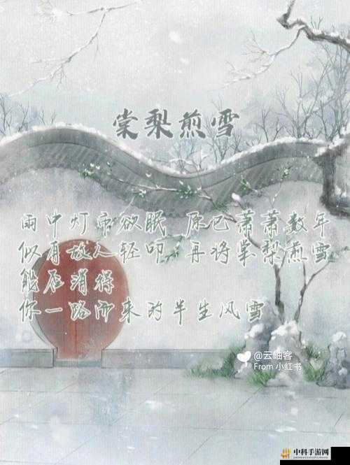 蜜汁肉桃作者棠梨煎雪：一场别样情感之旅