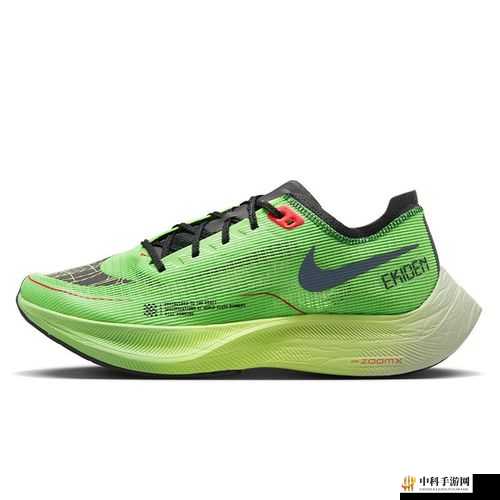 NIKE ZOOM VAPORFLY ELITE 专业跑鞋