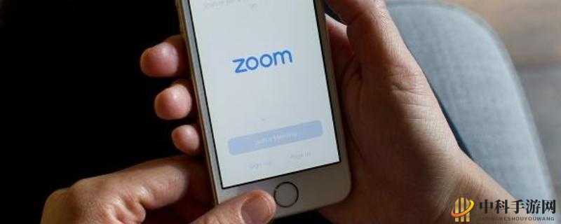 ZOOM 和 OKZOOM 有何区别？