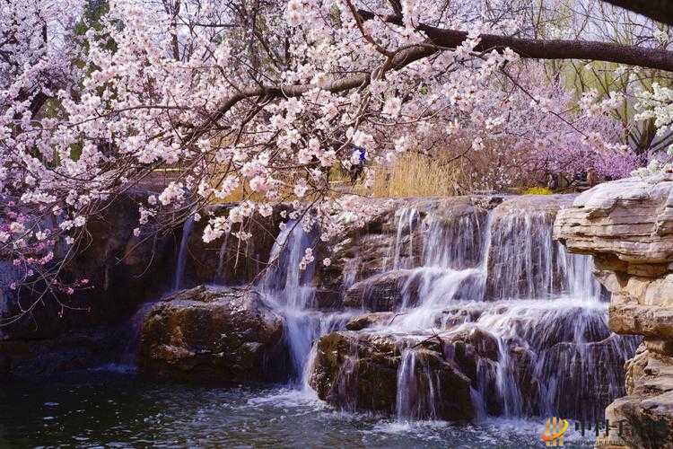 桃花洞口已是溪水潺潺：那美丽的风景