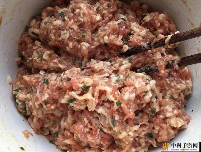 课后辅导 po 肉馅小水饺：美味制作教程