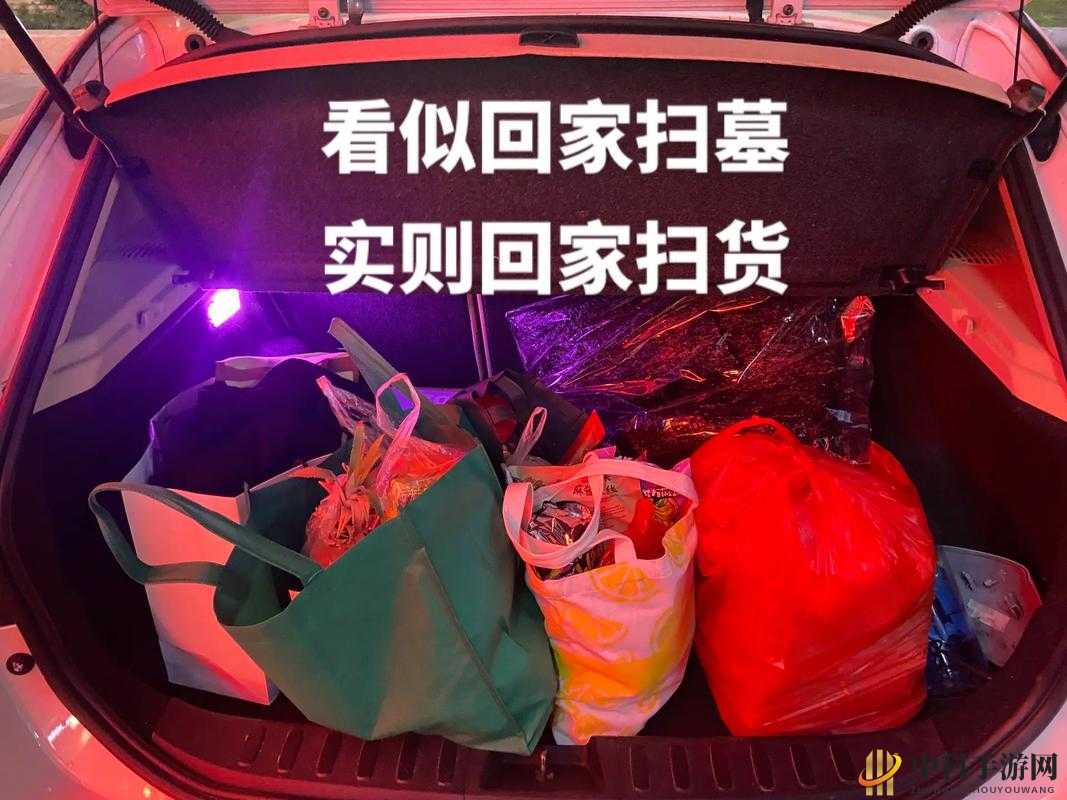 小扫货能么多叫出来：背后的故事